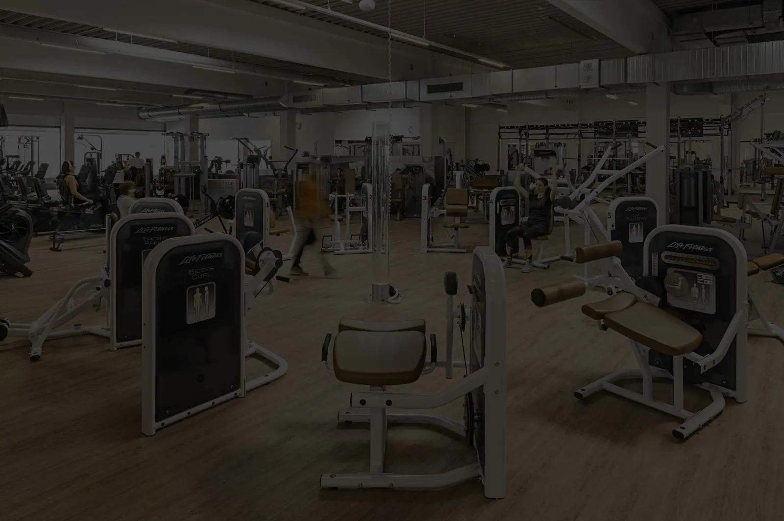 Trainingsfläche im ENERGYM Öhringen mit Kraft- und Ausdauergeräten